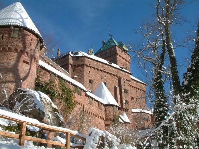 Apartament Studio Sisley Eschau Zewnętrze zdjęcie